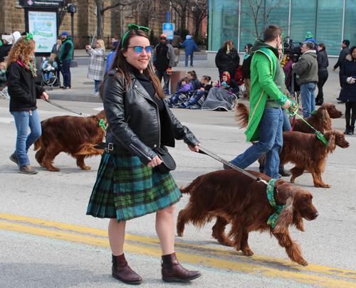 Irish Setter Club of Ohio